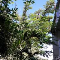 Deluxe Room with Garden View