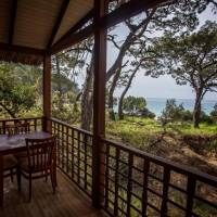 Pine Houses with Sea View