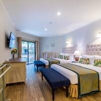 Double Room with Balcony and Pool View