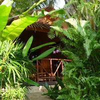 Tropical Bungalow - Queen