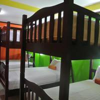 Bunk Bed in Mixed Dormitory Room