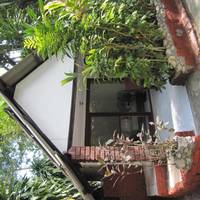 Standard Bungalow with Fan
