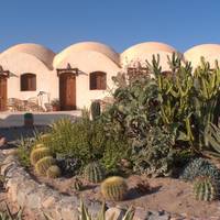 Bungalow - Beach Front
