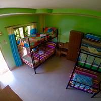 Bed in 4-Bed Mixed Dormitory Room