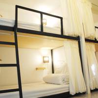Bunk Bed in Mixed Dormitory Room