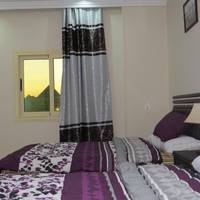 Deluxe Double or Twin Room with City View