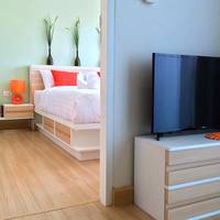 Deluxe One-Bedroom Apartment