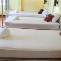 Bunk Bed in Mixed Dormitory Room
