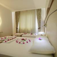 One-Bedroom Apartment (4 Adults)