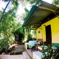 Deluxe Bungalow