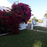 Twin Room with Garden View