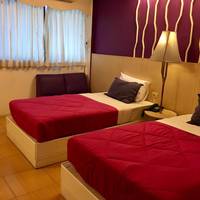 Chic Deluxe Twin Room 