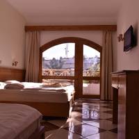 Superior Double or Twin Room with Garden View
