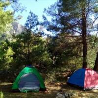 Tent