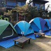 Tent