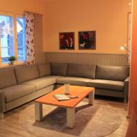 Five-Bedroom Apartment - Levin Kultarinne B2