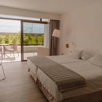 Double Room with Pool View