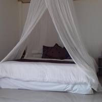 King Studio with Sofa Bed