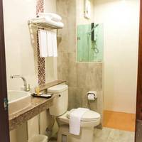 Deluxe Double or Twin Room with Balcony