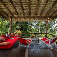 Jungle Bungalow 