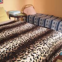 Triple Room with Shared Bathroom