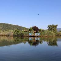 Quadruple Room with Lake View