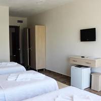 Family Room (3 Adults)