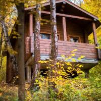 One-Bedroom Chalet with Terrace and Forest View