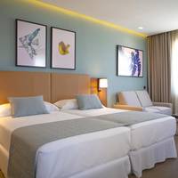 Deluxe Superior Twin Room