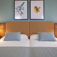 Deluxe Family Twin Room