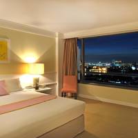 Superior Double or Twin Room with River View