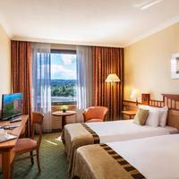 Superior Double or Twin Room with Danube View