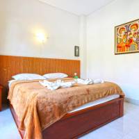 Superior Double or Twin Room with Pool View