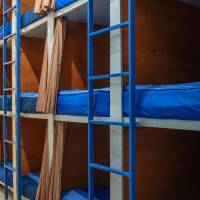Bunk Bed in Mixed Dormitory Room