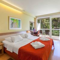 Special Offer - Double Room with New Year's Package