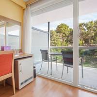 Double Room with Balcony - Park Side