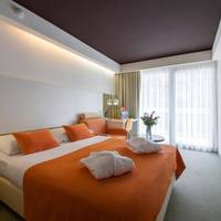 Double Room with Balcony - Park Side