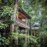 Rainforest Villa King or Twin