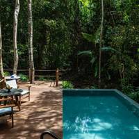 Rainforest Pool Villa King