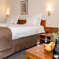 Standard Double Room with City View
