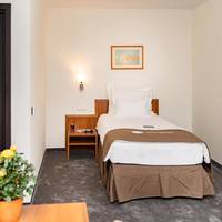 Economy Single Room with City View