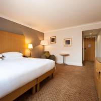 King Hilton Guestroom
