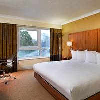 Double Guest Room