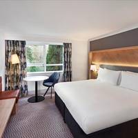 King Guest Room