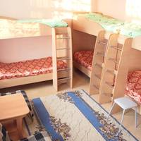 Bunk Bed in Mixed Dormitory Room