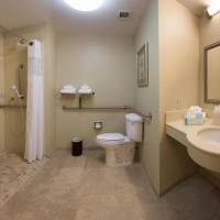 King Room with Roll-In Shower - Disability Access