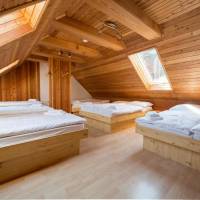 Two-Bedroom Apartment (12 adults)