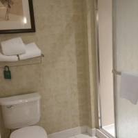 Non-Smoking King Studio Suite