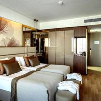 Standard Double or Twin Room with Balcony