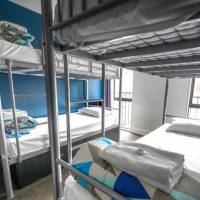 Bed in 4-Bed Mixed Dormitory Room